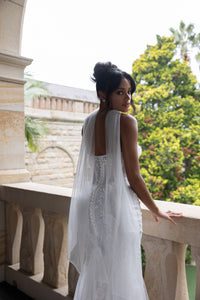 Cassia
